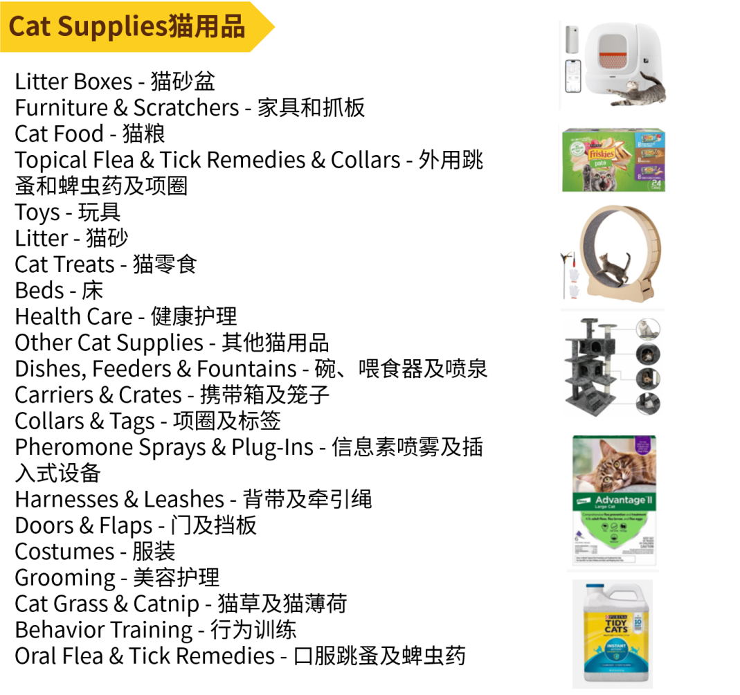 千亿美元赛道！围绕四大趋势开发产品把握机遇