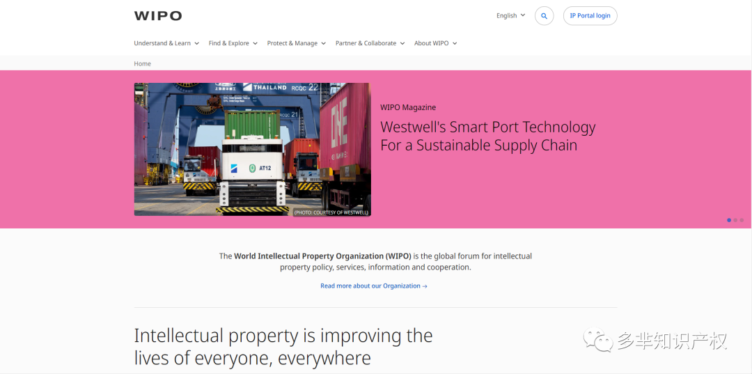 国货品牌出海之路的基础——商标，花西子在全球范围内注册商标超50+！