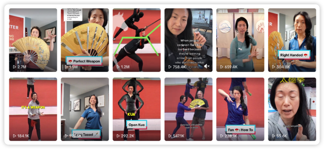 李连杰入驻TikTok，用“功夫生意”，低调赚美金