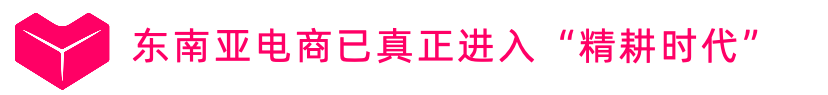 乘势而上：2025 Lazada双11大促背后的东南亚电商新趋势
