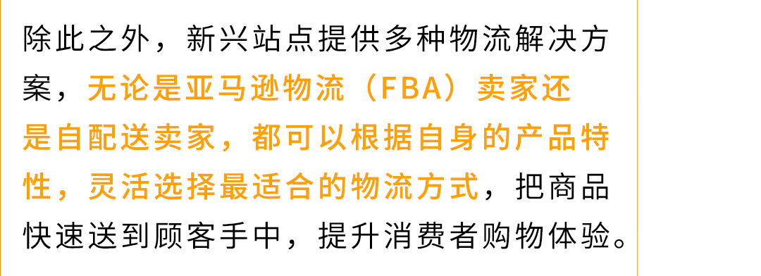 别人还在观望，他们已爆单5倍！揭秘5位亚马逊大卖新兴站点0到百万增长秘籍