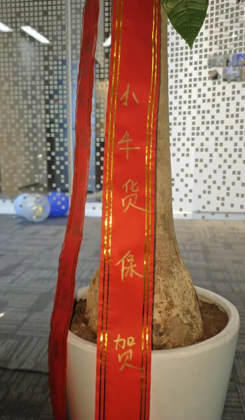 WallTech总部乔迁新址,开启未来新篇章