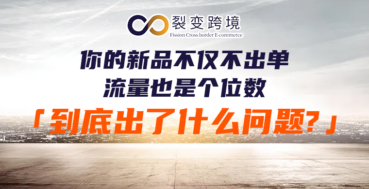 新品不仅不出单,流量也是个位数,到底出了什么问题?