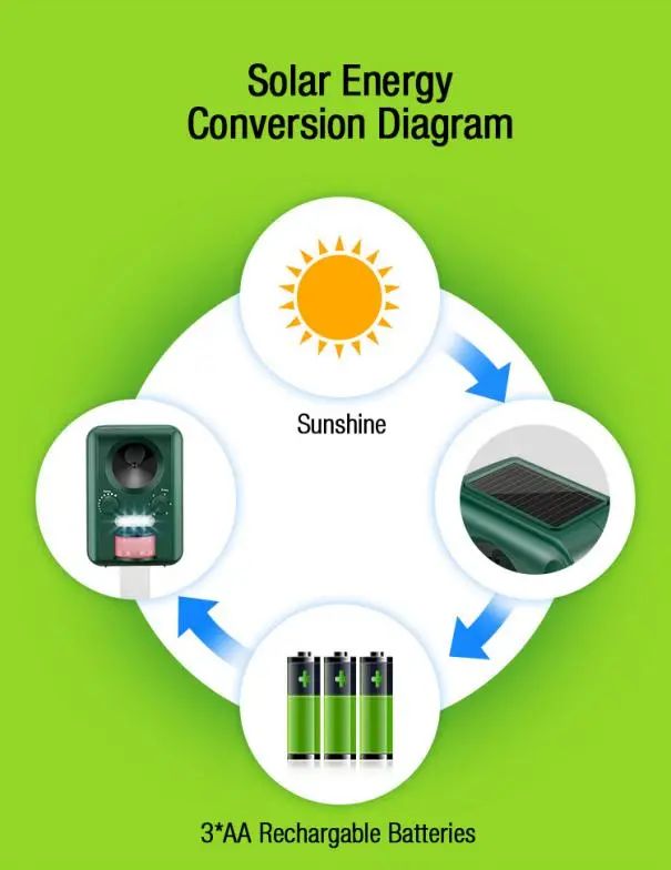 庭院+太阳能+实用性=？潜力选手即将出道