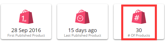 月销百万美元的利基配件独立站品牌案例分享