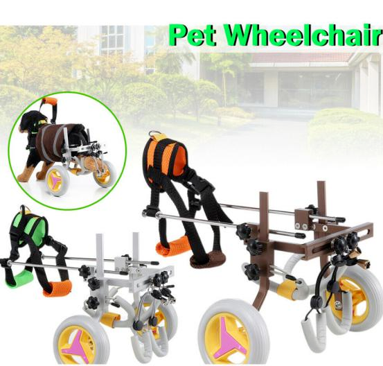 宠物卖家危！两大爆款接连起诉侵权，大批账号面临冻结罚款！