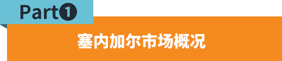 塞内加尔—西非法语国家的金融中心，中国卖家海外扩张新蓝海