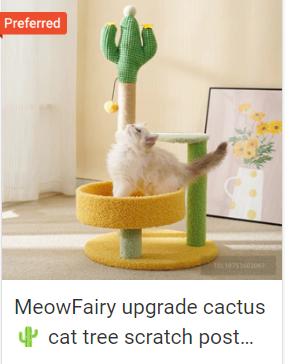 爆单预警！Shopee 8大站点热销宠物用品盘点