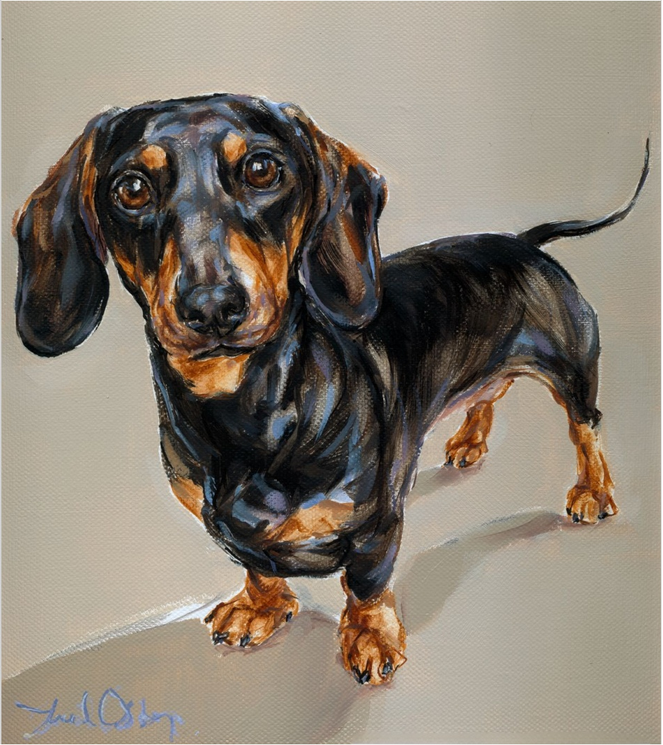 860家店铺被冻结！骷髅头、雪人、南瓜、猫狗、花卉等图案需慎用！