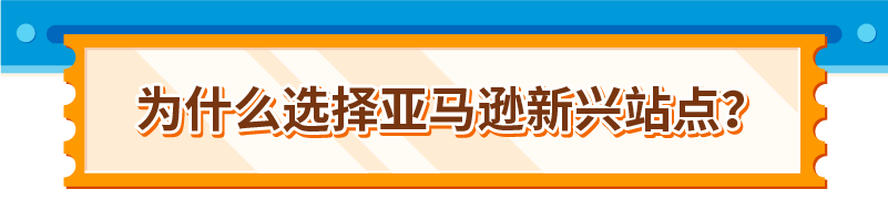 2025年亚马逊新兴站点指南！90+场大促活动全面解析~