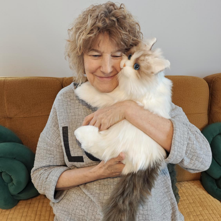 清华学霸押注亚马逊！高客单价毛绒玩具，年销暴涨 200%