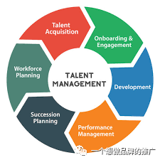 STOP Whining! 先思考后行动- 职场生存指南