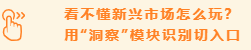 【亚马逊商机探测器】用数据说话、用洞察决策，提升上新成功率