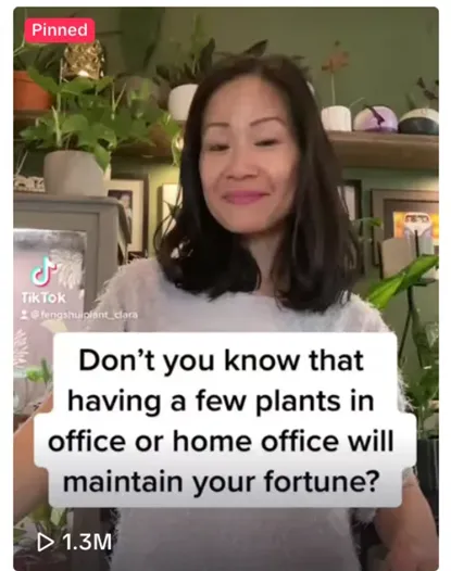 溢价15倍！风水玄学产品在TikTok卖爆了