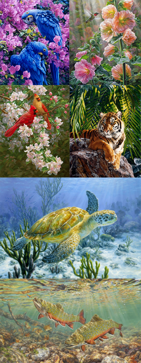 已有33个被告！加拿大艺术家6个野生动物版权TRO！