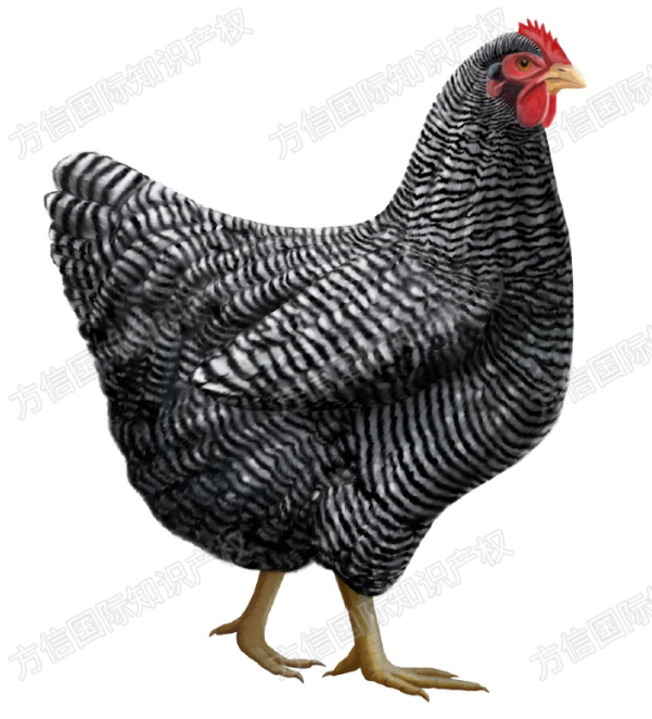 以为店铺很安全？这7个侵权案告诉你，风险就在“想当然”的细节里！