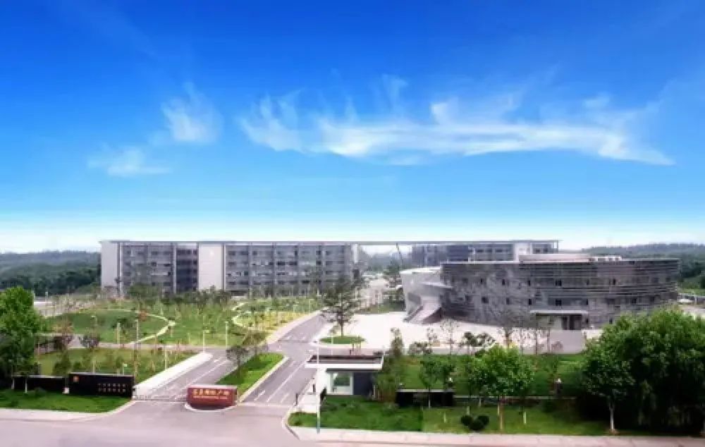 了不得!传统国企转型亚马逊跨境,团队均龄29岁,销量5年增长50倍