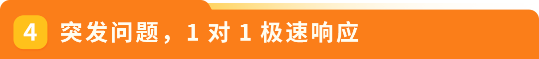 从3万到30万美元!这家工厂品牌如何突围4大困境,实现在亚马逊黑五销量暴涨9倍!