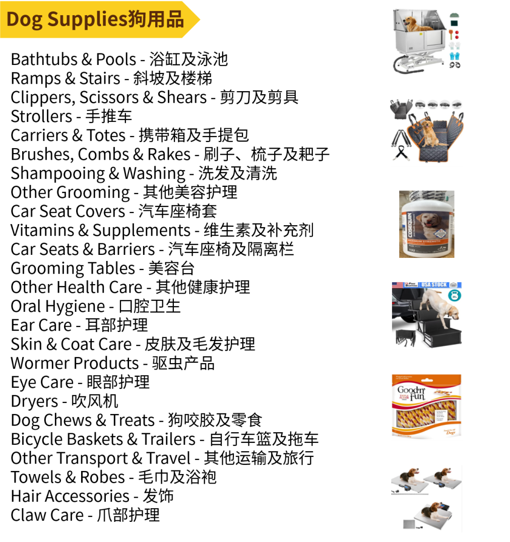 千亿美元赛道！围绕四大趋势开发产品把握机遇