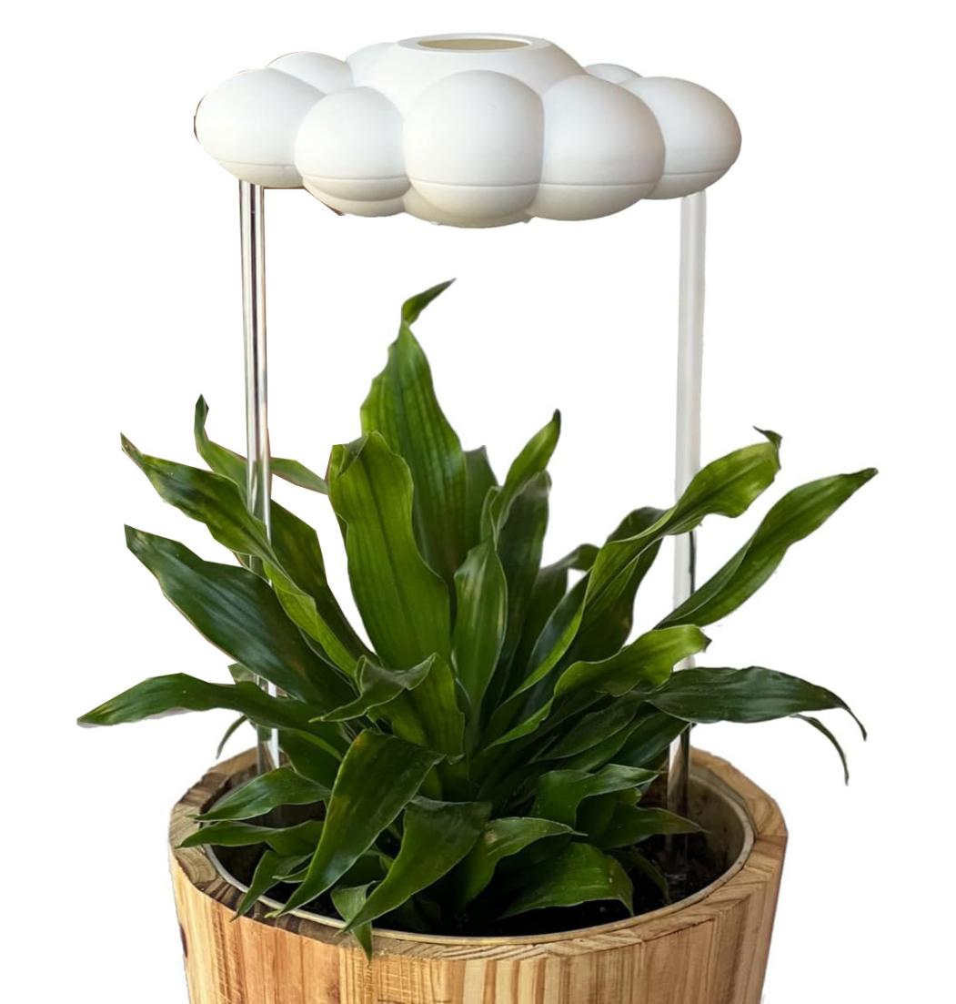 多人售卖的云朵植物浇水器Plant watering apparatus&nbsp;有多专利布局！谨慎上架！