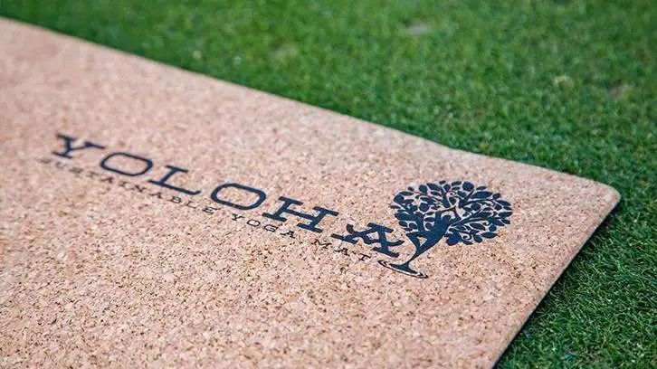 想不到地球日里面竟藏着流量密码！ Shopify 超全营销指南助您打开环保市场！