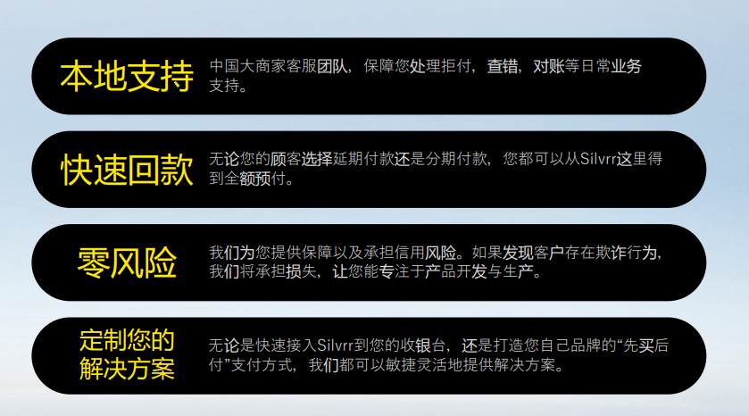 欧洲出海新“利刃”，BNPL大有可为