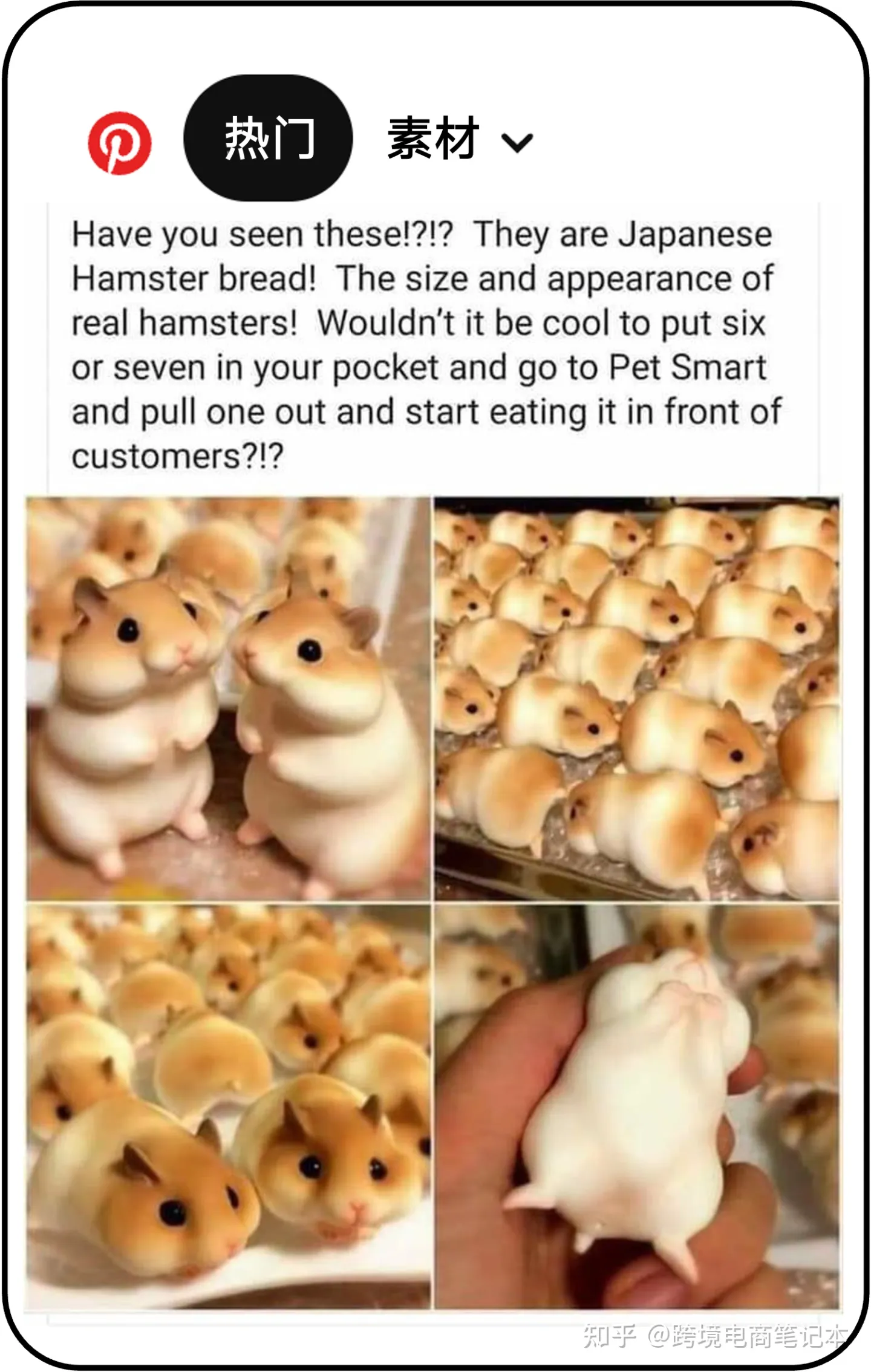 跨境电商引流必看！每周Pinterest热门帖——001期