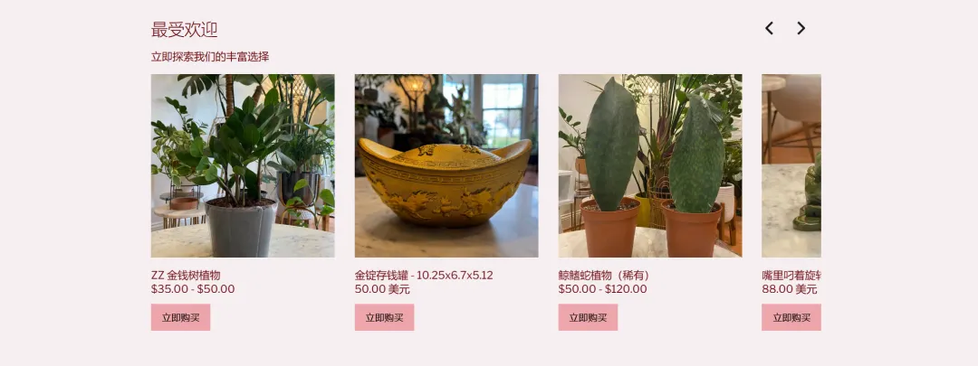 溢价15倍！风水玄学产品在TikTok卖爆了