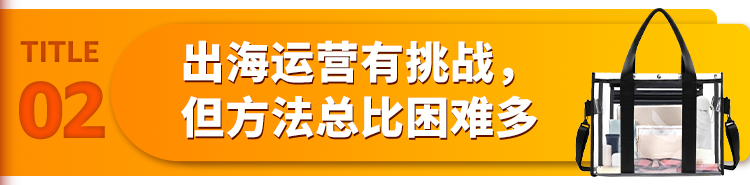 营收破千万美元！国产箱包亚马逊战绩辉煌，年均增速20%！