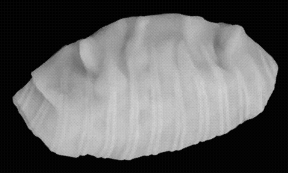 保卫饺子！韩国申请饺子专利，跨境卖家真正该警惕的是什么？