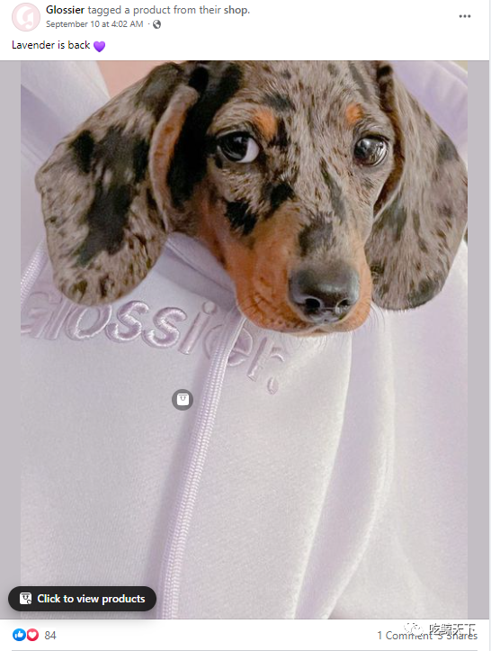 四年创收4亿美元，看美妆独角兽Glossier如何收割TikTok上的粉红少女心