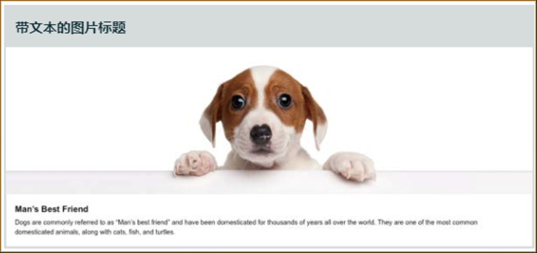 亚马逊公布6大站点节假日关键词推荐，建议立即优化！