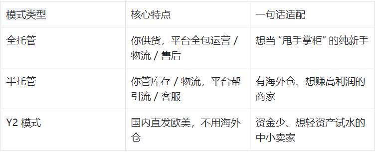 跨境新手指南，Temu 3 大模式核心定位（小白别盲目选！）