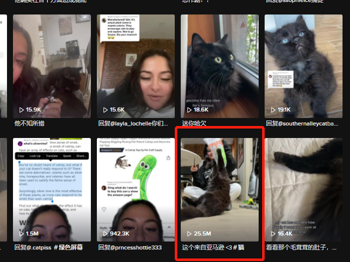 爆款猫玩具走红TikTok，5天播放破千万！