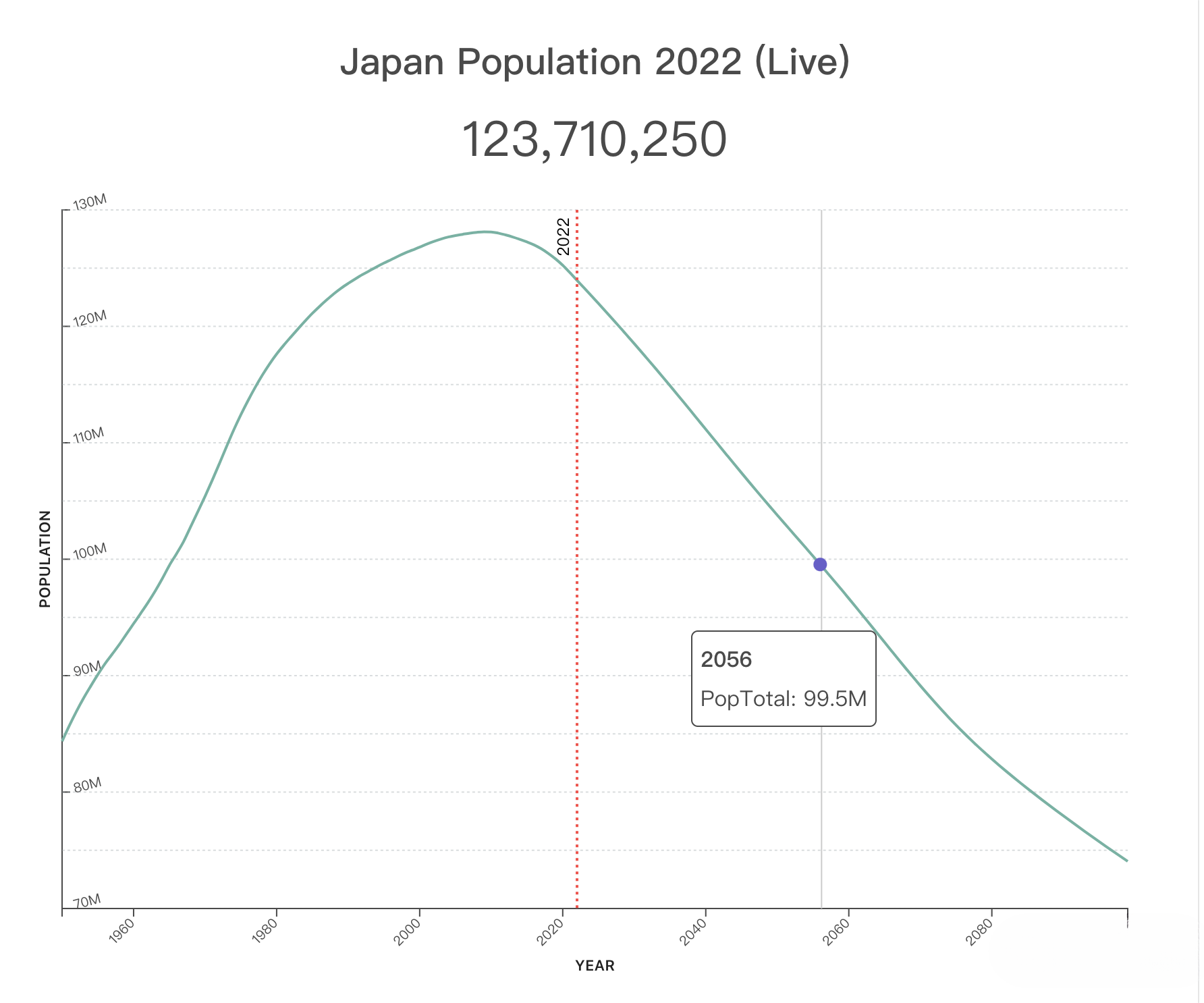 今天世界人口达80亿！外贸市场增量机会在哪里？世界人口Top 20人口增长趋势图！外贸人看完会找到答案！
