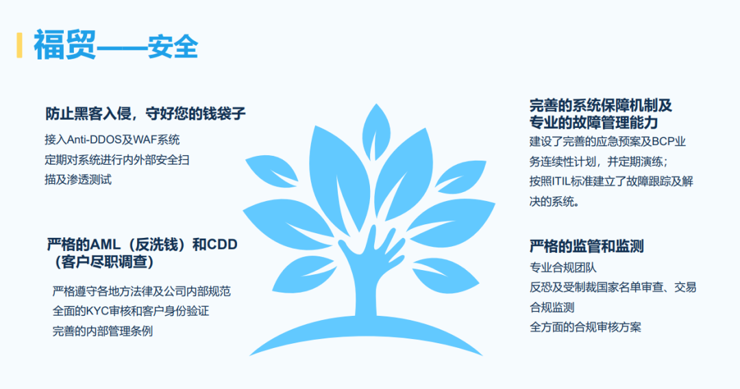 商界萌宠俏佳人细数宠物用品出海的运营秘籍