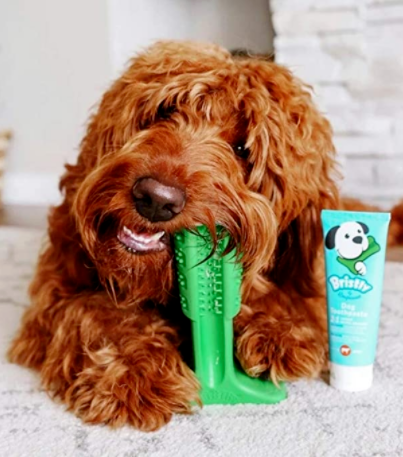 宠物卖家危！两大爆款接连起诉侵权，大批账号面临冻结罚款！