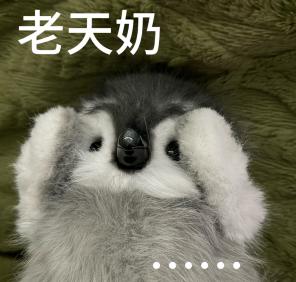 靠“抄袭”火遍全网?比原创还要火是怎么回事?