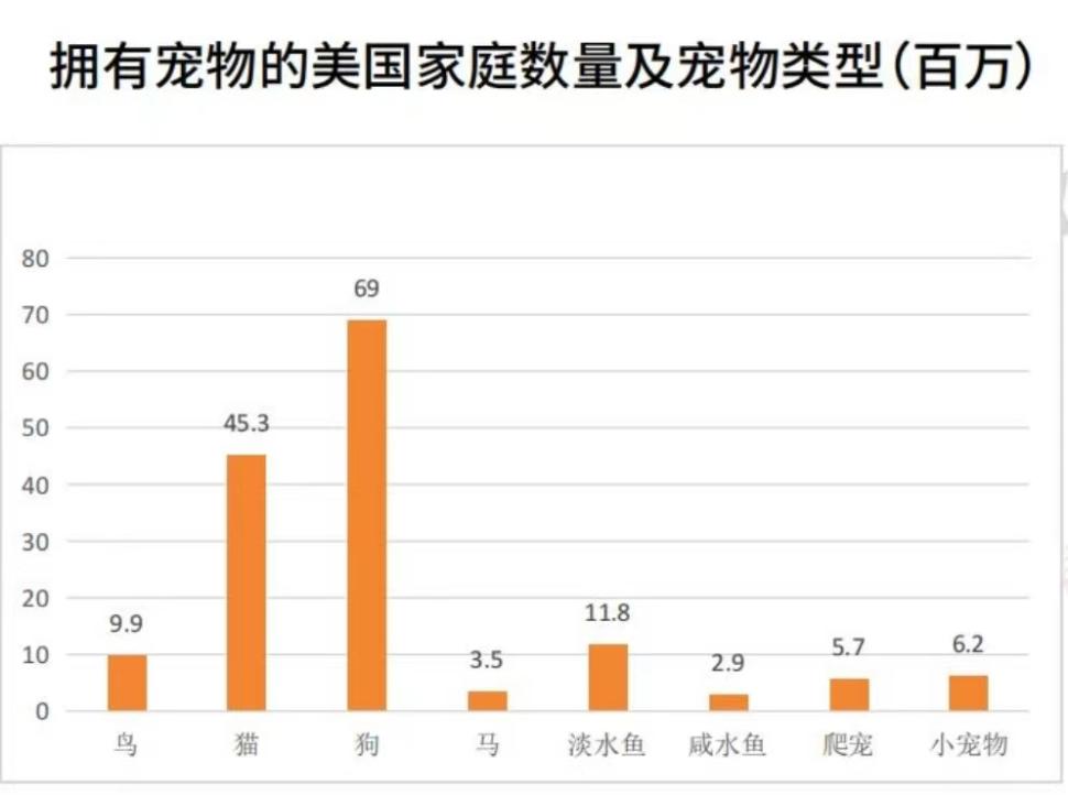 宠物用品市场规模分析