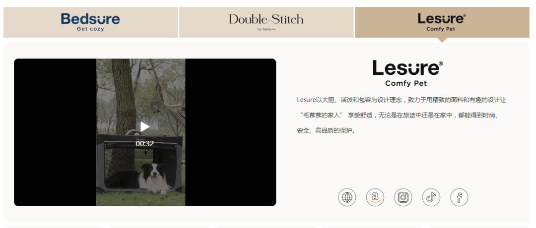 年營收5億美金！又一批中國賣家在亞馬遜發大財！