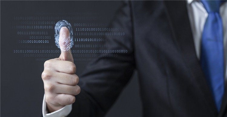 如何通过数据分析让亚马逊选品更有底气